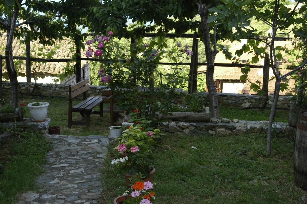 Guesthouse Klearchos Palaios Panteleimonas Zewnętrze zdjęcie